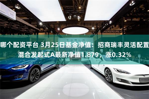 哪个配资平台 3月25日基金净值：招商瑞丰灵活配置混合发起式A最新净值1.879，涨0.32%