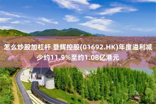 怎么炒股加杠杆 登辉控股(01692.HK)年度溢利减少约11.9%至约1.08亿港元