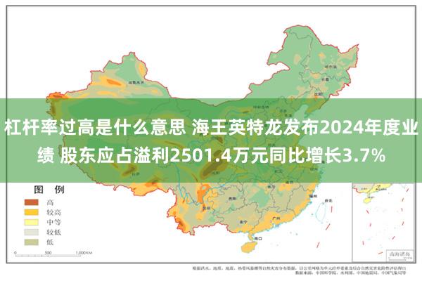 杠杆率过高是什么意思 海王英特龙发布2024年度业绩 股东应占溢利2501.4万元同比增长3.7%