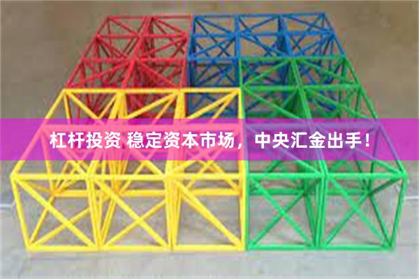 杠杆投资 稳定资本市场，中央汇金出手！