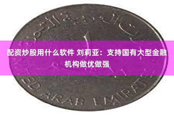 配资炒股用什么软件 刘莉亚：支持国有大型金融机构做优做强