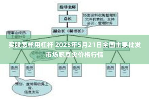 买股怎样用杠杆 2025年5月21日全国主要批发市场豌豆尖价格行情