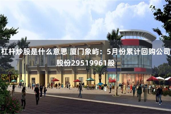杠杆炒股是什么意思 厦门象屿：5月份累计回购公司股份29519961股