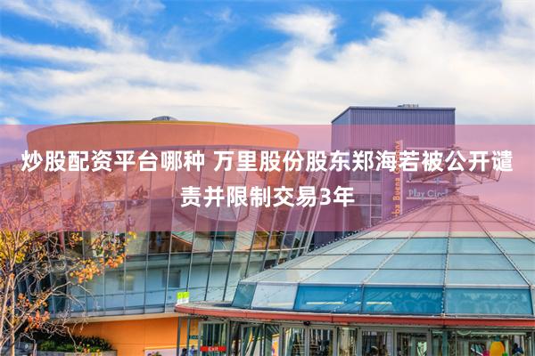 炒股配资平台哪种 万里股份股东郑海若被公开谴责并限制交易3年