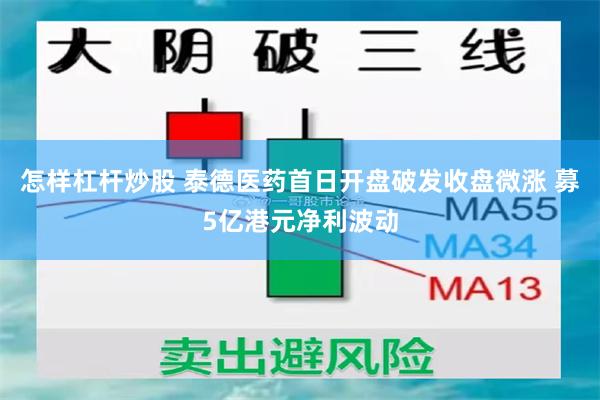怎样杠杆炒股 泰德医药首日开盘破发收盘微涨 募5亿港元净利波动