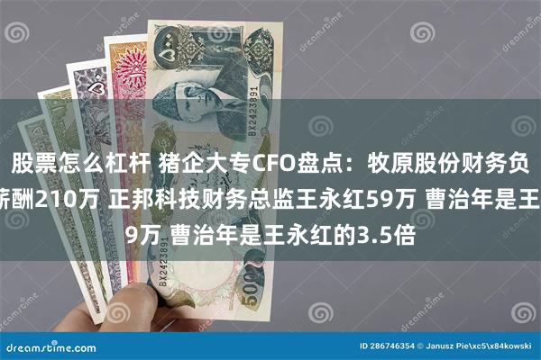 股票怎么杠杆 猪企大专CFO盘点：牧原股份财务负责人曹治年薪酬210万 正邦科技财务总监王永红59万 曹治年是王永红的3.5倍