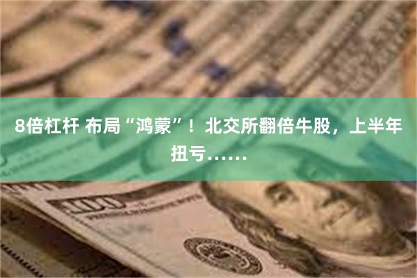 8倍杠杆 布局“鸿蒙”！北交所翻倍牛股，上半年扭亏……
