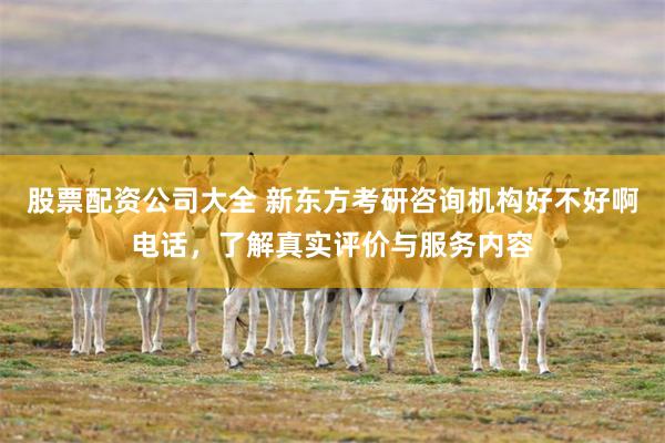 股票配资公司大全 新东方考研咨询机构好不好啊电话，了解真实评价与服务内容